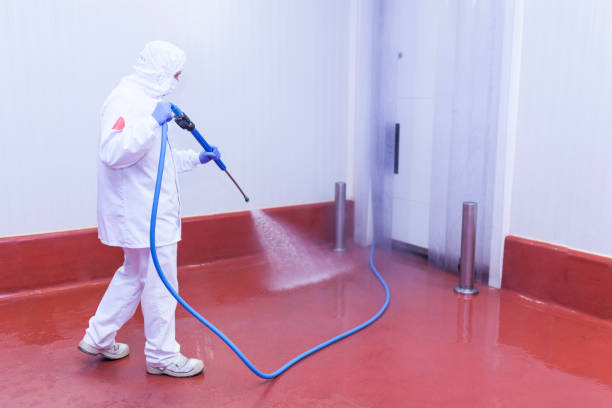 Professional Pressure Washing in Chapin, SC